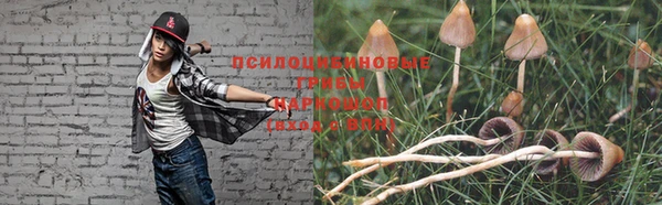 ПСИЛОЦИБИНОВЫЕ ГРИБЫ Семёнов